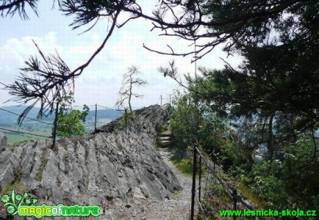 Jehla u České Kamenice - Foto Miloš Plánský