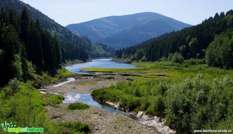 Vodní nádrž Šance z Masarykova údolí - Foto Jan Valach