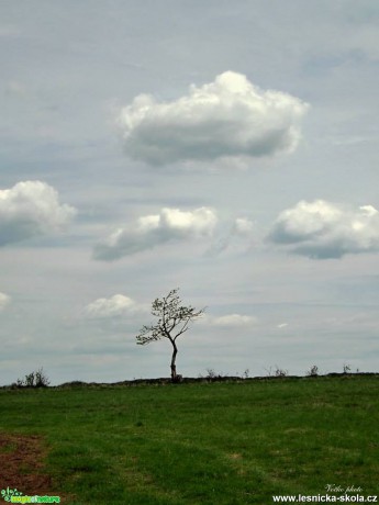 Krušné hory - Foto Jiří Havel (7)