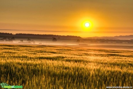 V moci slunce - Foto Jozef Pitoňák