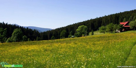 Zemřelov u Visalaje - Beskydy - Foto Jan Valach