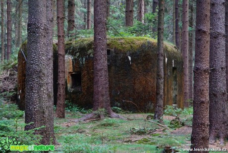 V Lužických horách - Foto Petr Germanič (3)