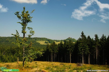 V Lužických horách - Foto Petr Germanič (5)