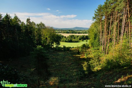 Novoborsko - Foto Petr Germanič (7)