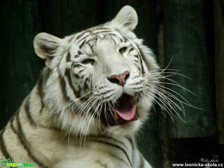 ZOO Liberec - Foto Jiří Havel (19)