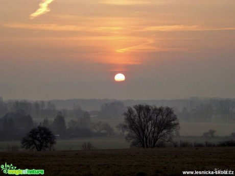 Sluneční hrátky - Foto Jiří Havel (3)