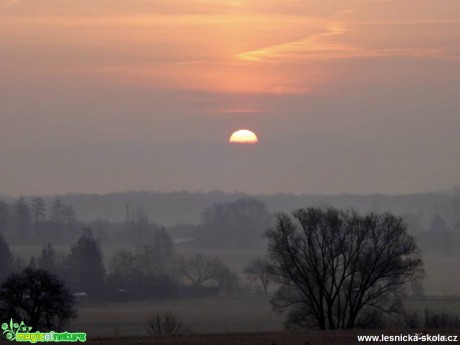 Sluneční hrátky - Foto Jiří Havel (4)