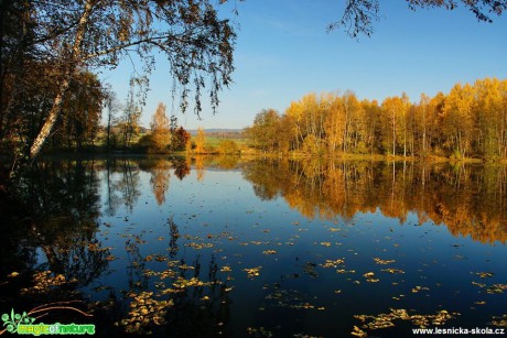 Sloupské brouzdaliště - Foto Petr Germanič (2)