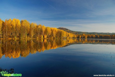 Sloupské brouzdaliště - Foto Petr Germanič