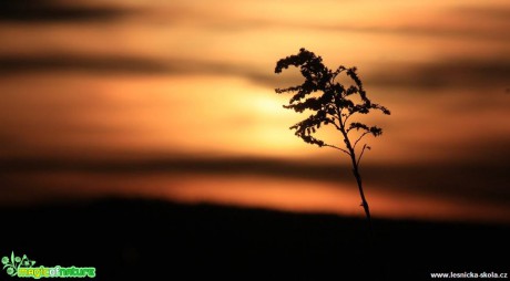Slunce v mracích - Foto Ladislav Jonák