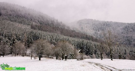 Ladovská zima pod Lysou horou - Foto Jan Valach