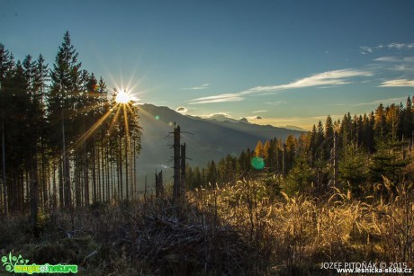 Slunce v horských lesích - Foto Jozef Pitoňák
