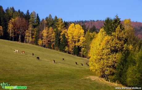 Podzim v Morávce - Foto Jan Valach