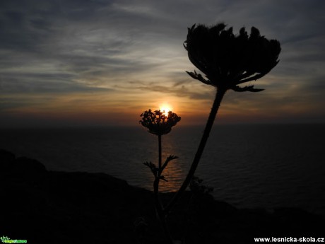 Sardinie - 06. 2015 - Foto Tomáš Kunze (6)