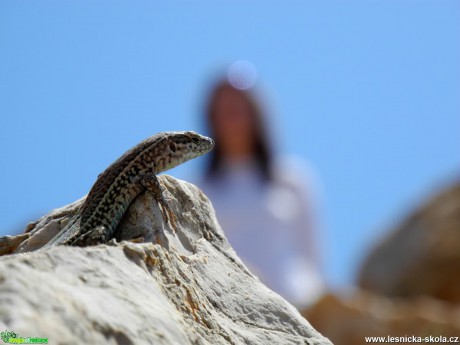 Sardinie - 06. 2015 - Foto Tomáš Kunze (7)