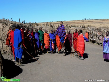 Masajové skáčou - Foto Rudolf Sochor
