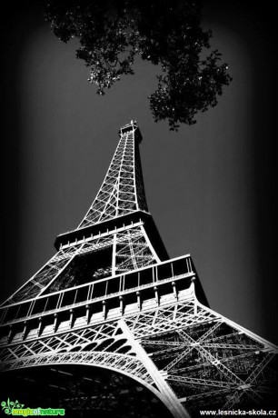 Černobílá Paříž - Foto Jiří Perlík