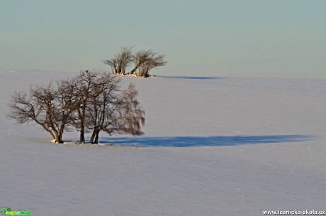 V objetí sněhu - Foto Marie Vykydalová