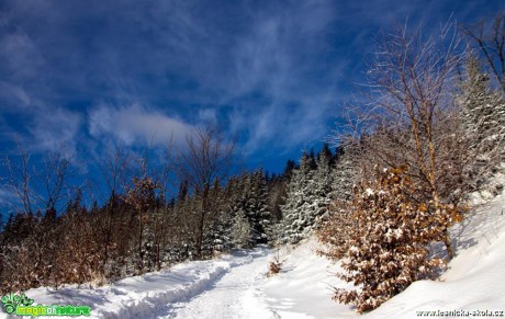 Z Ostravice na Lysou horu - Foto Jan Valach (3)