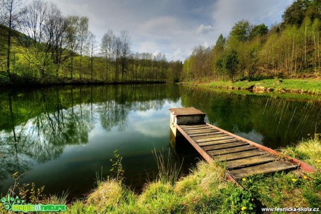 Chotovický jarní rybník - Foto Petr Germanič