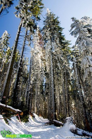 Zkratka na Lysou 17.3.2016 - Foto Jan Valach