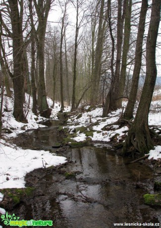 Zima končí - Foto Miloslav Míšek