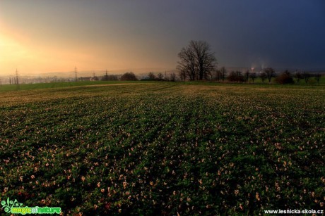 Bouřková mračna v podvečer nad Jihlavou - Foto Ladislav Jonák