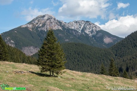 Kominarský vrch - Foto Jozef Pitoňák