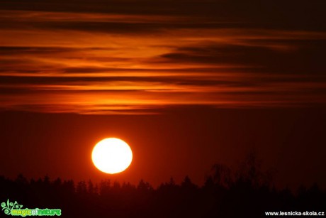 Sluneční kouzlo - Foto Ladislav Jonák (1)
