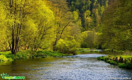 Řeka Moravice - Foto Jan Valach