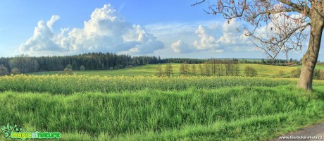 Květnová Vysočina - Foto Ladislav Jonák