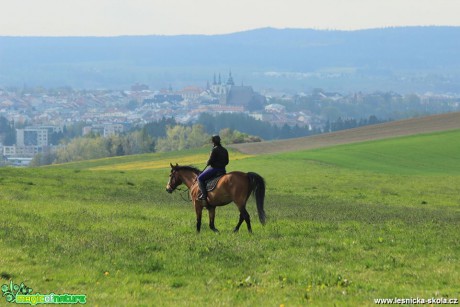 Na koni nad Jihlavou - Foto Ladislav Jonák