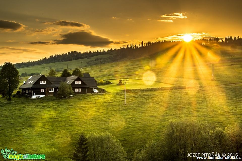 V záři slunce - Foto Jozef Pitoňák (2)