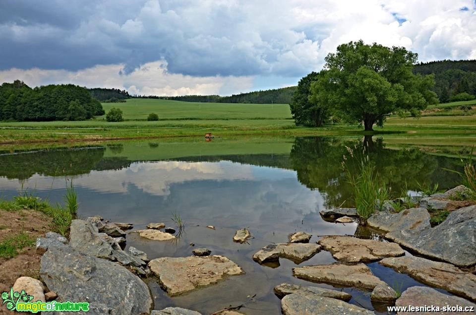 Můj rodný kraj - Drnovice - Foto Marie Vykydalová (1)