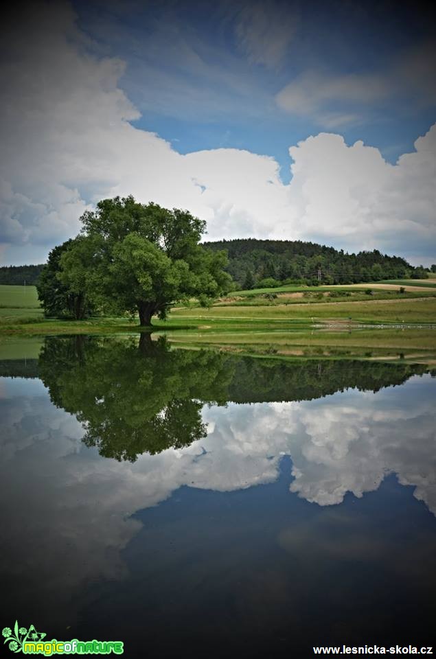 Můj rodný kraj - Drnovice - Foto Marie Vykydalová (2)