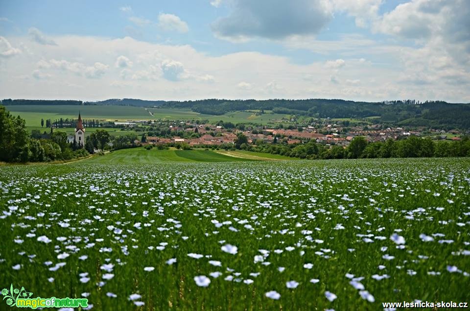 Můj rodný kraj - Drnovice - Foto Marie Vykydalová (3)