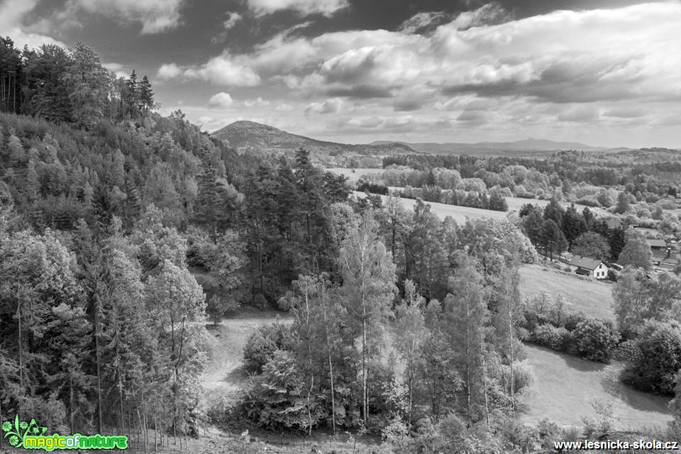 Ze Švýcarky (Zelený vrch,Cvikov) - Foto Petr Germanič