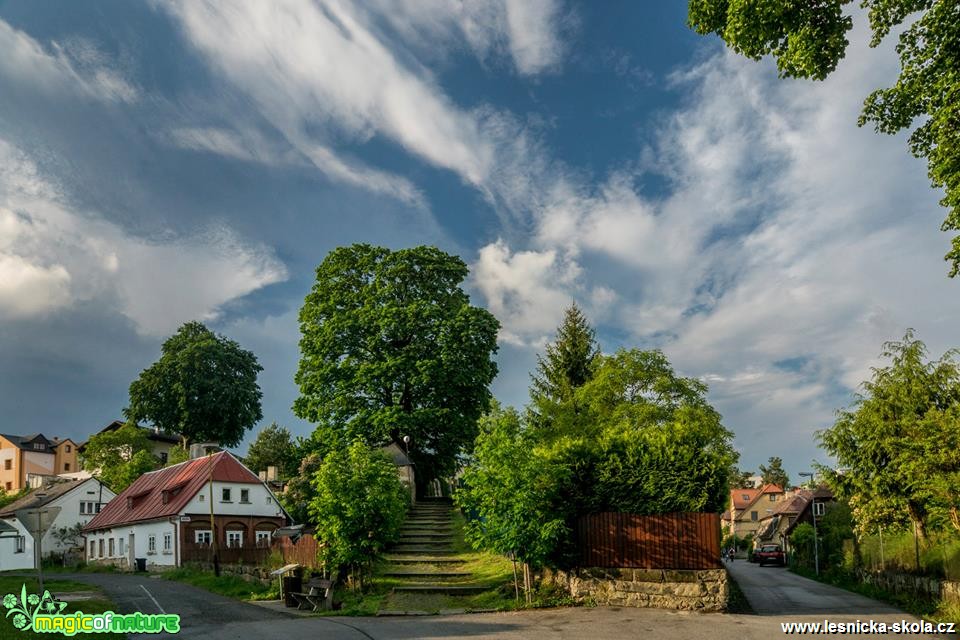 Na trojcestí s mraky nad hlavou - Foto Petr Germanič