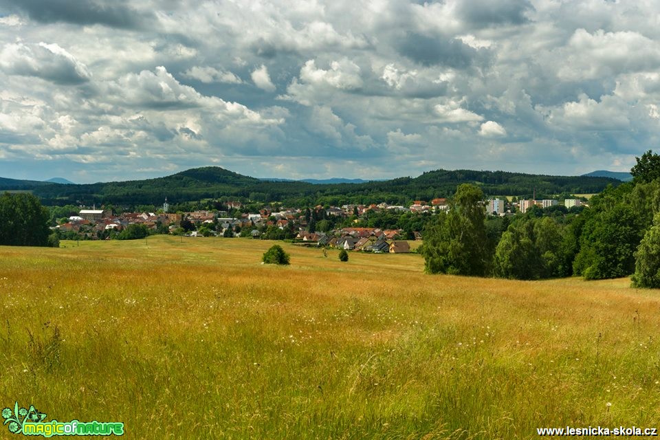 V lukách - Foto Petr Germanič