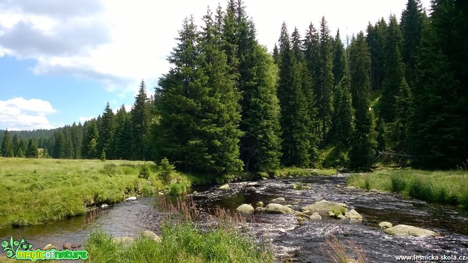 Šumavské procházení - Foto Petr Germanič (1)