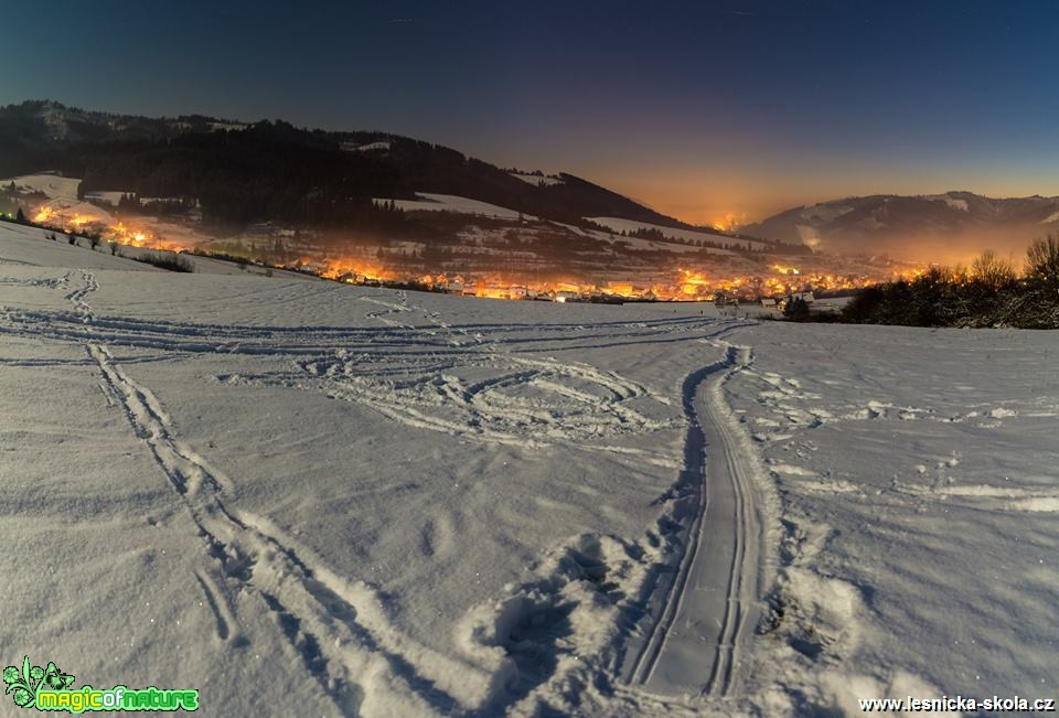 Zimní cesta domů - Foto Milan Kašuba