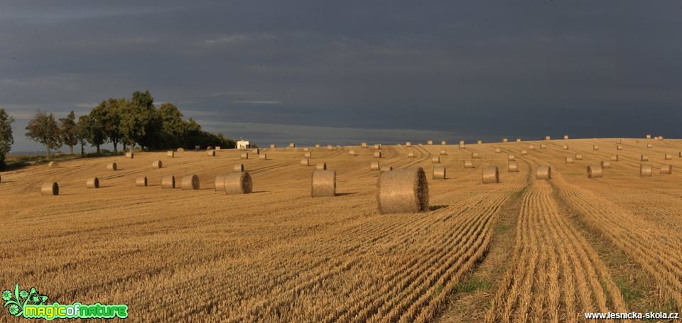 Zemědělská krajina - Foto Ladislav Jonák (2)