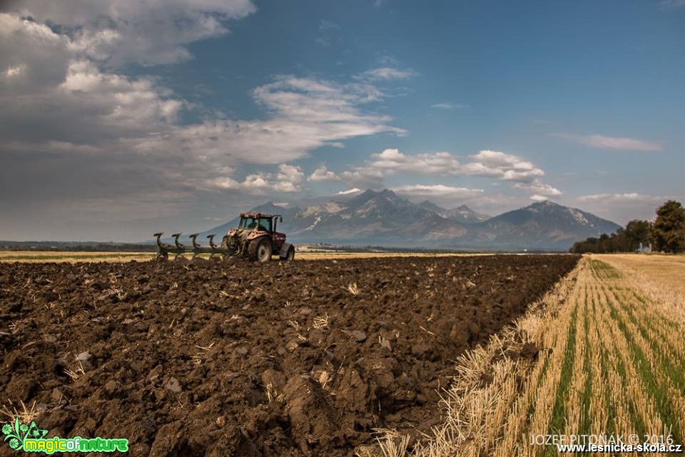 Orba na horách - Foto Jozef Pitoňák