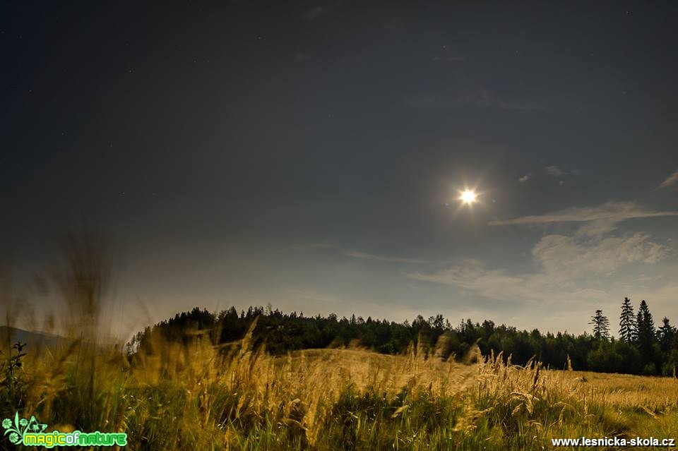 Za měsíčního svitu - Foto Milan Kašuba (1)