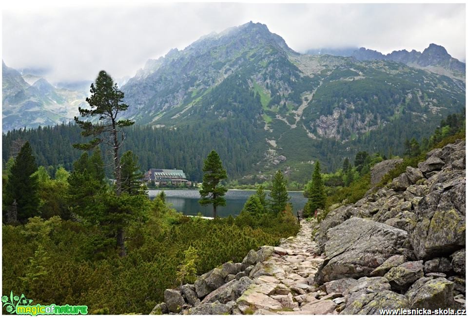 Vzpomínka na krásné Tatry - Foto Marie Vykydalová (11)