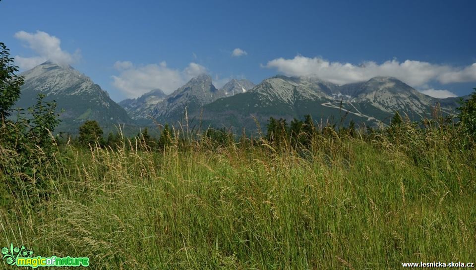 Vzpomínka na krásné Tatry - Foto Marie Vykydalová (18)