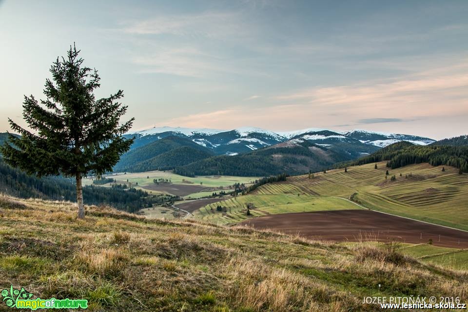 Každodenní příběh hor - Foto Jozef Pitoňák (1)