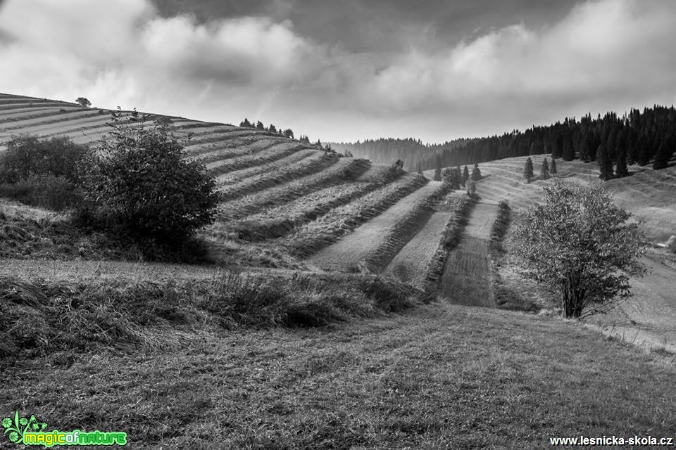 Každodenní příběh hor - Foto Jozef Pitoňák (4)