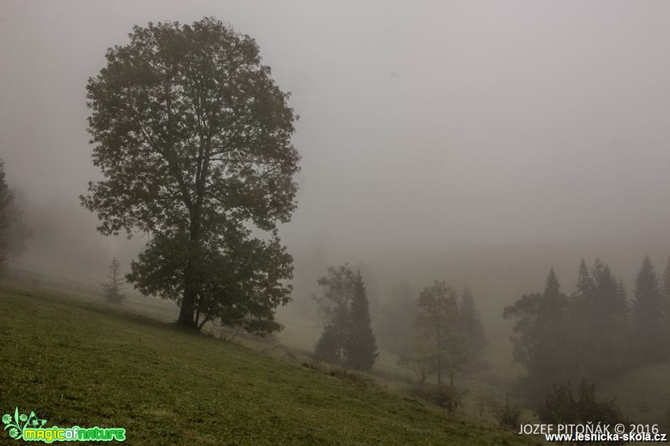 Každodenní příběh hor - Foto Jozef Pitoňák (6)