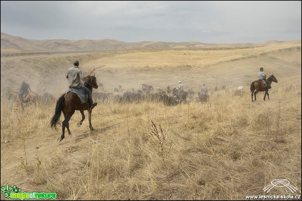 Kyrgyzstán 2016 - Foto Jana Vondráčková (17)